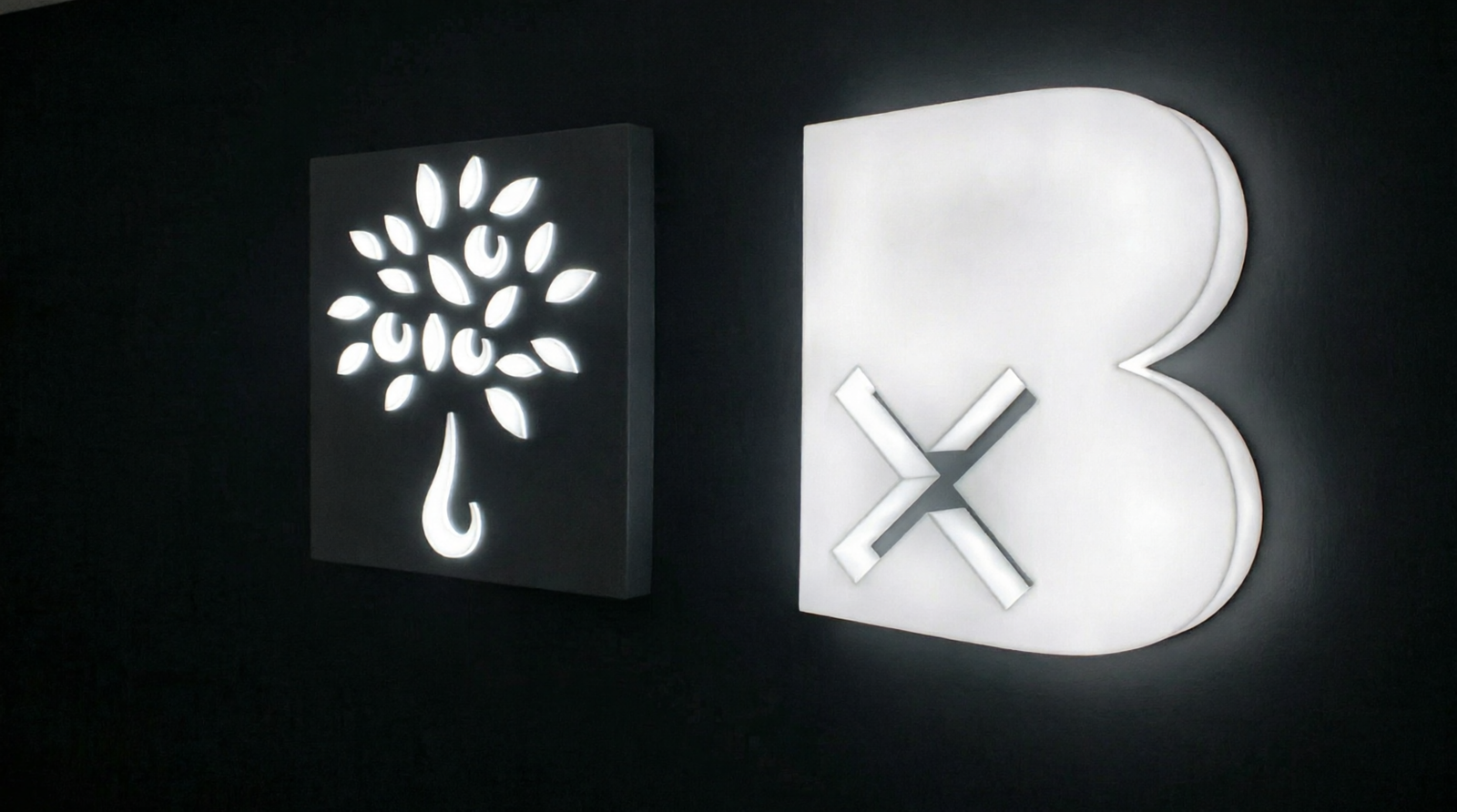 Acrylic Light Letters