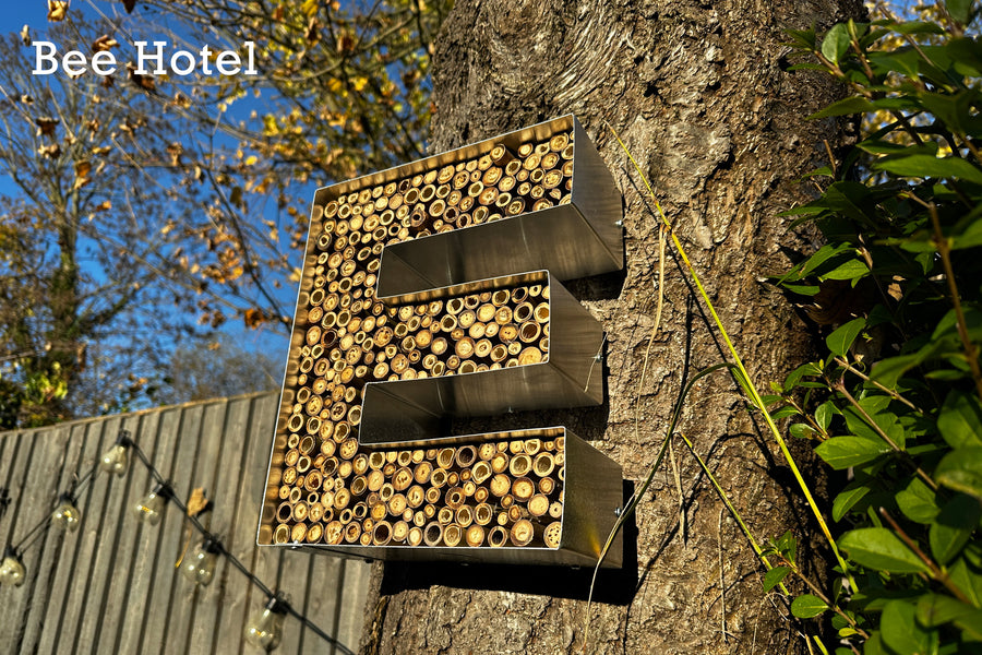 Bee Hotel Letter