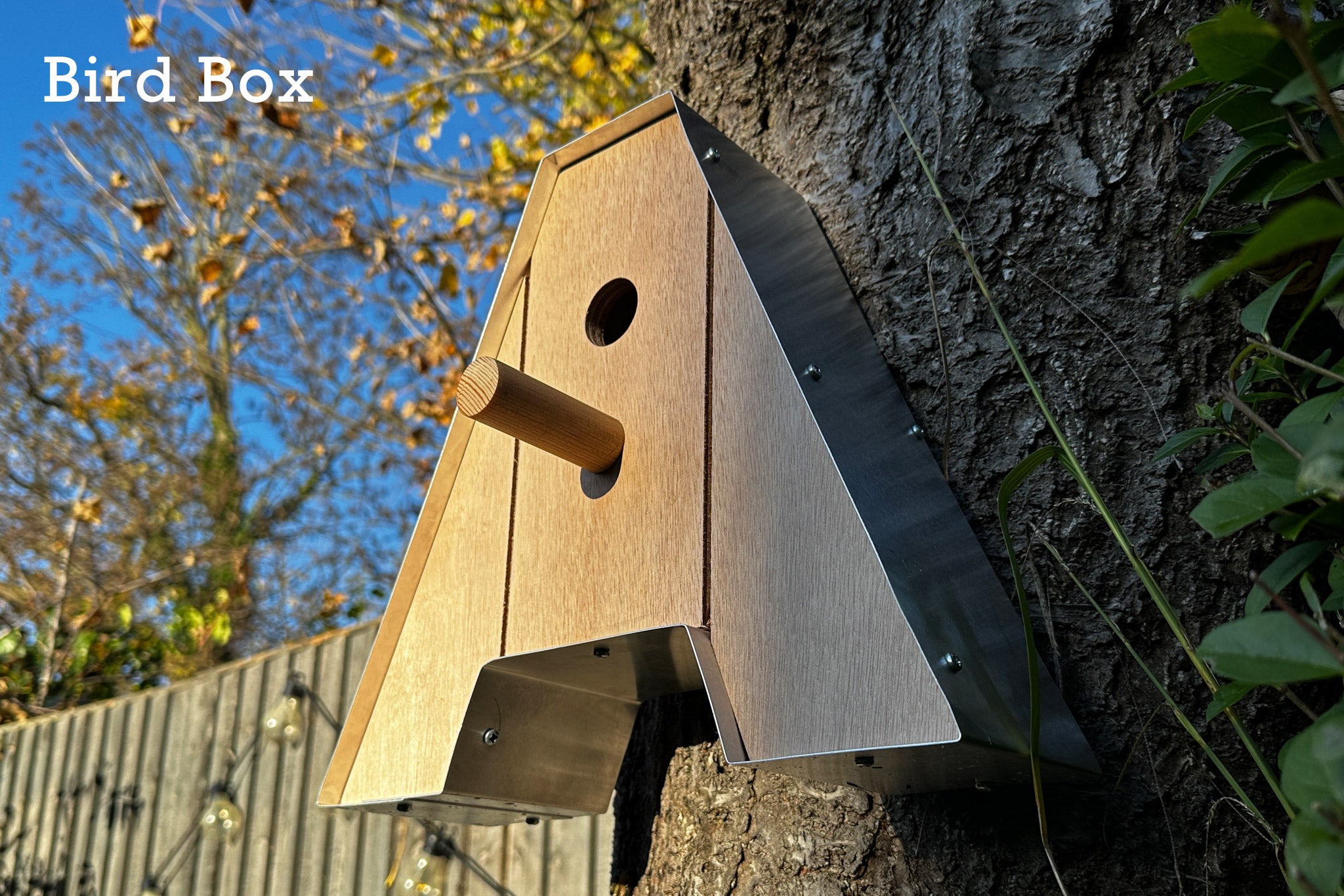 Bird Box Letter