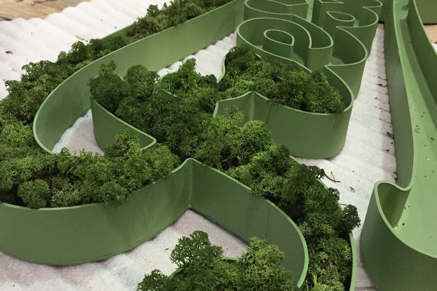 Making Moss Letters