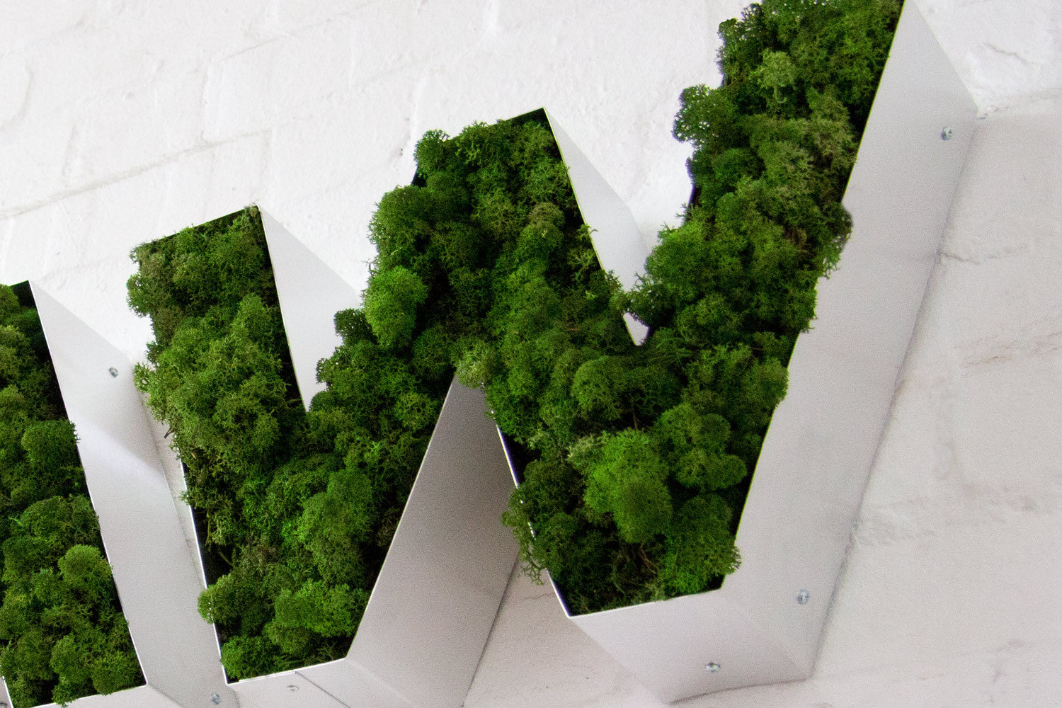 Moss Letters (A-Z) - A