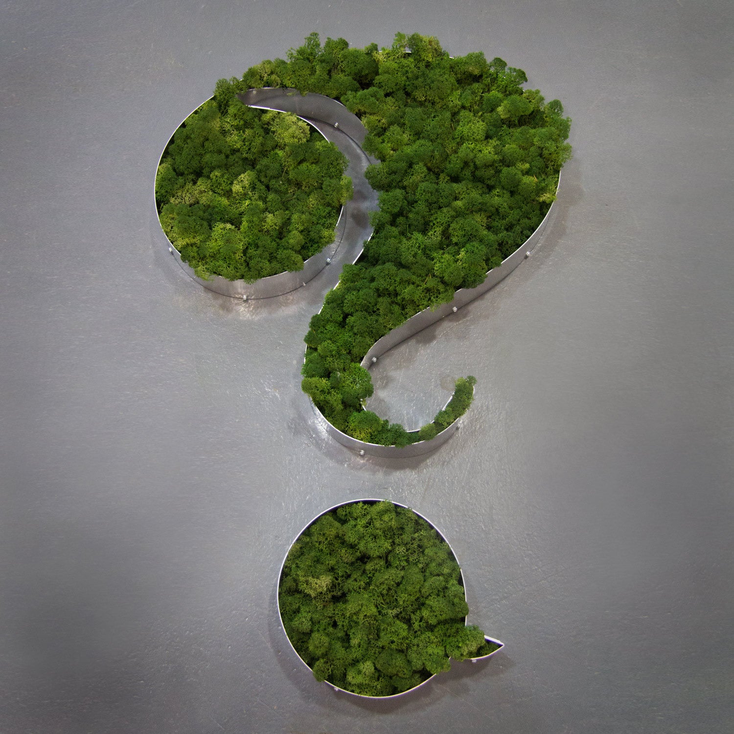 Moss Letters (A-Z) - A