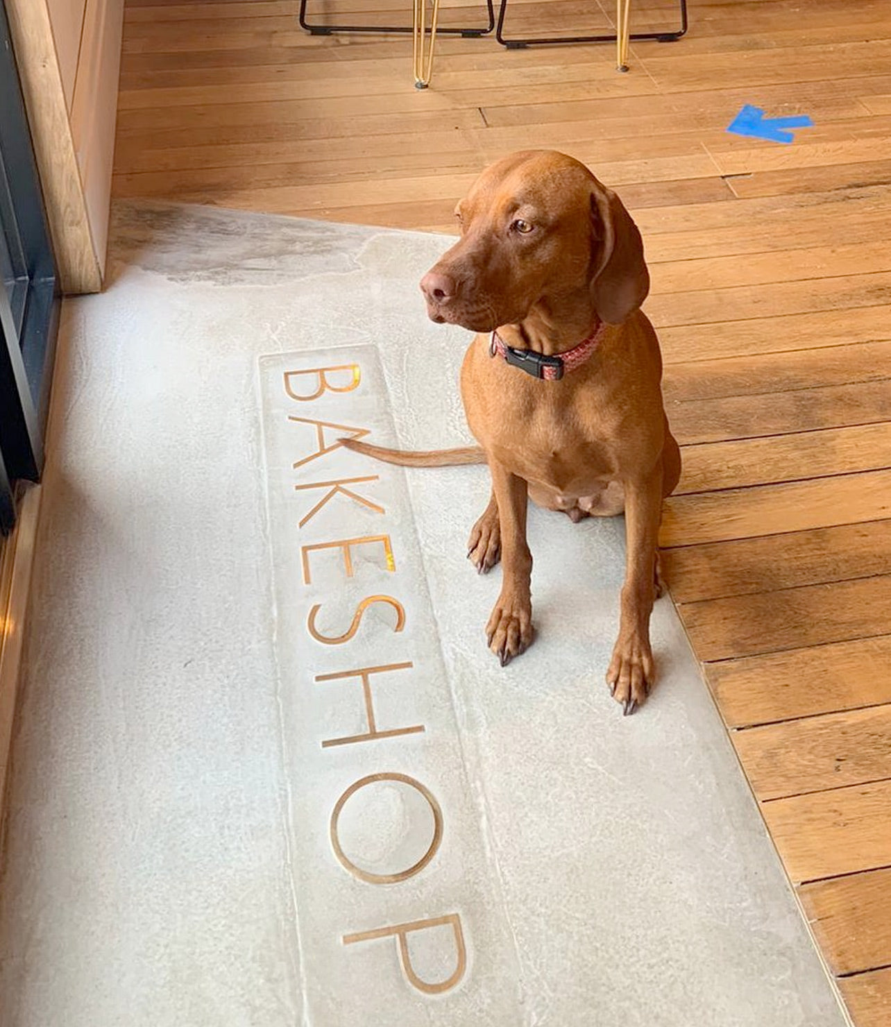 brass letters in concrete